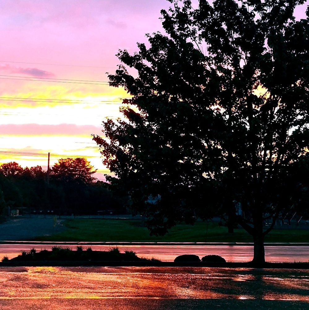 Meet your Posher, Chelsea